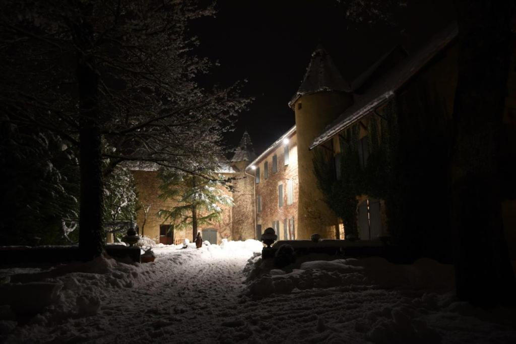 Chateau De Passieres Chichilianne Екстериор снимка